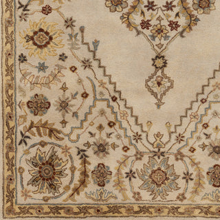 Surya Tinley TIN-4001 Khaki Area Rug Sample Swatch