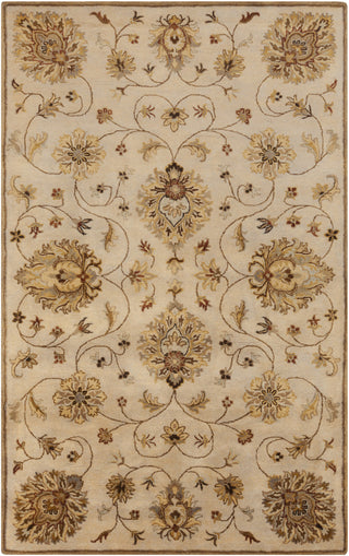 Surya Tinley TIN-4006 Area Rug 5' x 8'