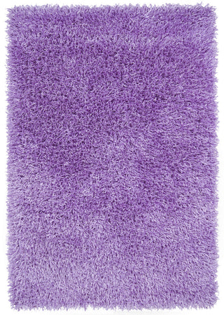 Chandra Tirish TIR-19308 Purple Area Rug main image