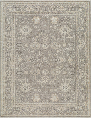 Surya Tokat TKT-2300 Area Rug main image