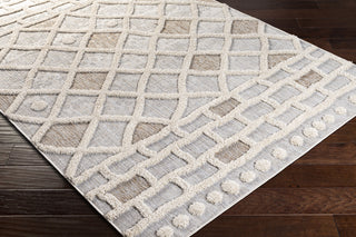 Surya Toledo TLD-2300 Area Rug Corner Shot