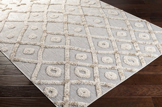 Surya Toledo TLD-2301 Area Rug Corner Shot