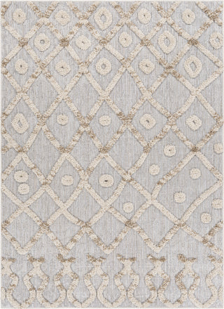 Surya Toledo TLD-2301 Area Rug main image