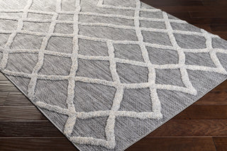 Surya Toledo TLD-2302 Area Rug Corner Shot