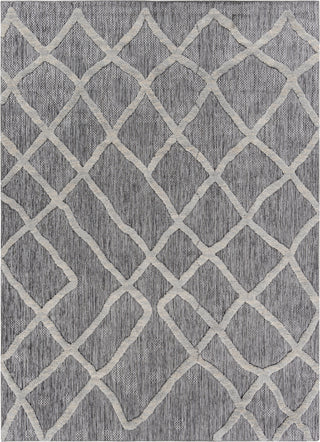 Surya Toledo TLD-2302 Area Rug Main Image