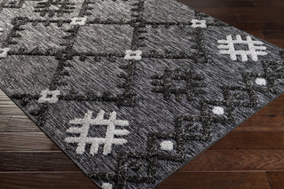 Surya Toledo TLD-2304 Area Rug Corner Shot