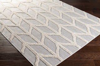 Surya Toledo TLD-2306 Area Rug Corner Shot