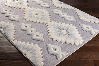 Surya Toledo TLD-2307 Area Rug Corner Shot