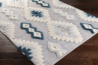 Surya Toledo TLD-2308 Area Rug Corner Shot
