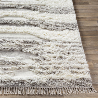 Livabliss Tulum TMU-2300 Area Rug