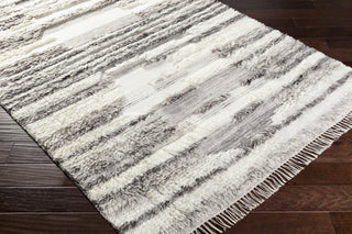 Livabliss Tulum TMU-2301 Area Rug