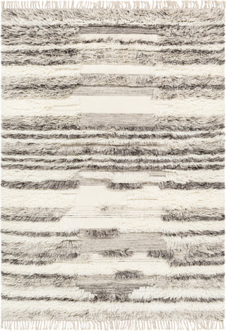 Livabliss Tulum TMU-2301 Area Rug