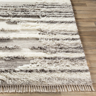 Livabliss Tulum TMU-2301 Area Rug