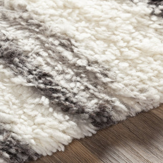 Livabliss Tulum TMU-2301 Area Rug