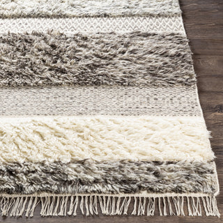 Livabliss Tulum TMU-2302 Area Rug