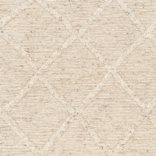 Surya Tenerife TNF-2300 Area Rug Swatch