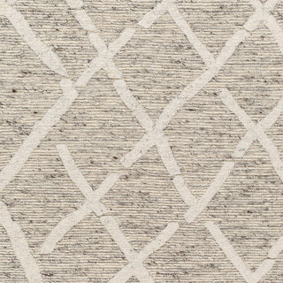 Surya Tenerife TNF-2301 Area Rug Swatch