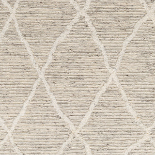 Surya Tenerife TNF-2302 Area Rug Swatch