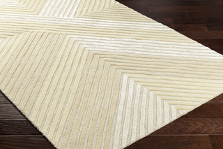 Surya Tallinn TNL-2305 Area Rug Corner Shot