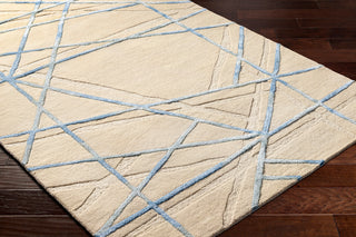 Surya Tallinn TNL-2306 Area Rug Corner Shot