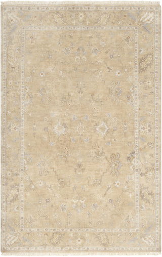 Surya Transcendent TNS-9002 Beige Area Rug 5'6'' x 8'6''