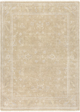 Surya Transcendent TNS-9002 Beige Area Rug 8'6'' x 11'6''