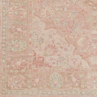 Surya Transcendent TNS-9006 Area Rug