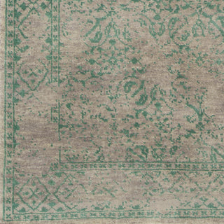 Surya Transcendent TNS-9011 Emerald Area Rug Sample Swatch