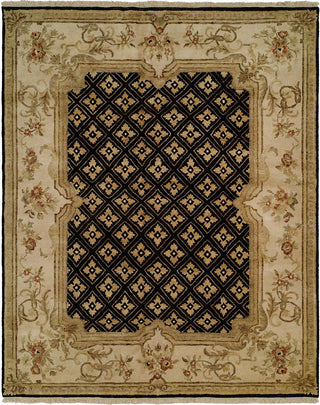 Ancient Boundaries Tomas TOM-01 Area Rug main image