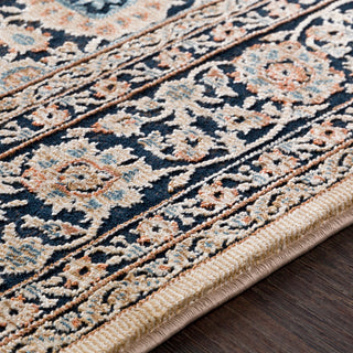 Surya Topkapi TPK-2307 Ink Camel Khaki Burnt Orange Navy Aqua Area Rug Texture Image