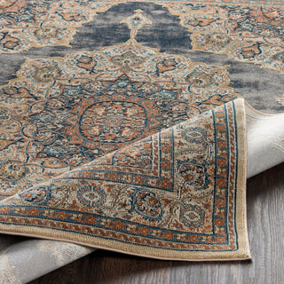 Surya Topkapi TPK-2309 Taupe Black Khaki Camel Aqua Burnt Orange Ink Area Rug Pile Image