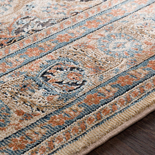 Surya Topkapi TPK-2309 Taupe Black Khaki Camel Aqua Burnt Orange Ink Area Rug Texture Image