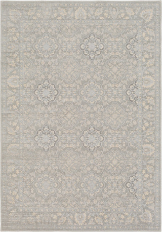 Surya Tranquil TQL-1000 Medium Gray Cream Taupe Light Area Rug main image