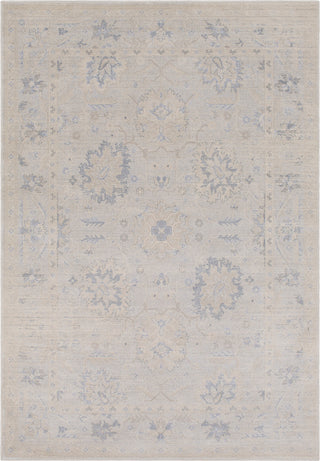 Surya Tranquil TQL-1001 Medium Gray Cream Taupe Light Area Rug main image