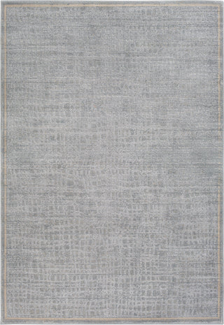 Surya Tranquil TQL-1004 Medium Gray Taupe Cream Light Area Rug main image