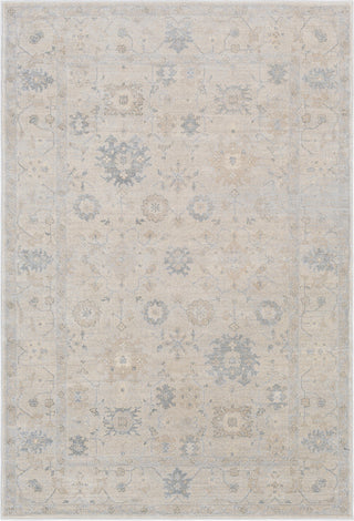 Surya Tranquil TQL-1006 Taupe Medium Gray Cream Light Area Rug main image