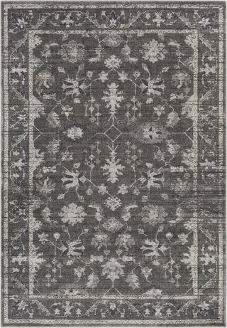 Surya Tranquil TQL-1008 Medium Gray Charcoal Cream Area Rug main image