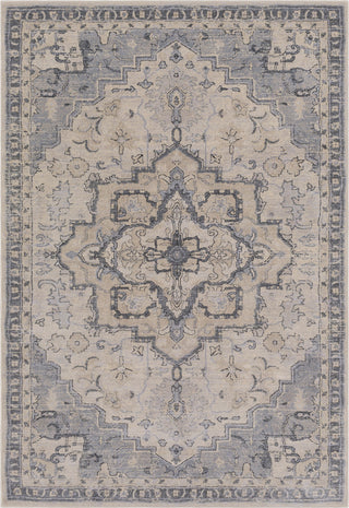 Surya Tranquil TQL-1011 Medium Gray Light Cream Charcoal Area Rug main image