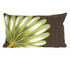 Trans Ocean Visions II Palm Fan Brown 1'0'' X 1'8''