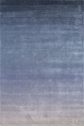 Trans Ocean ARCA Ombre Denim Area Rug by Liora Manne main image