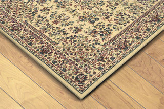 Trans Ocean Meteor Sarouk Ivory/Cream Area Rug Mirror by Liora Manne 