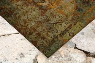 Trans Ocean Marina Kermin Green Area Rug Mirror by Liora Manne 