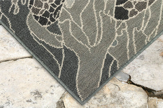 Trans Ocean Riviera Seaturtles Area Rug Mirror by Liora Manne 