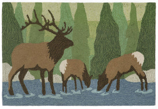 Trans Ocean Frontporch Elk Green Area Rug Main