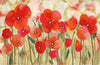 Trans Ocean Illusions Poppies Red Mirror by Liora Manne main image