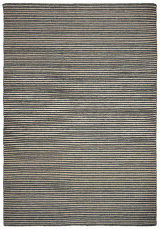 Trans Ocean Mojave Pencil Stripe Grey Area Rug main image