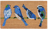 Trans Ocean Natura Blue Birds Natural Mirror by Liora Manne main image