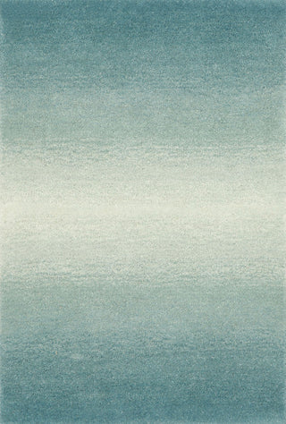 Trans Ocean Ombre Horizon Aqua Area Rug by Liora Manne