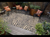 Trans Ocean Ravella Zebra Black Area Rug by Liora Manne Room Scene Feature