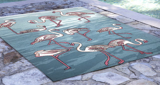 Trans Ocean Frontporch Flamingo Blue Area Rug Mirror by Liora Manne 